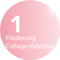 BeautyLight No. 1 Sun & Beauty Solarium und Sonnenstudio - Förderung der Collagenbildung