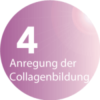BeautyLight-Styler No. 1 Sun & Beauty Solarium und Sonnenstudio - Anregung der Collagenbildung