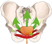 Bild zu während der Behandlung mit dem PowerSeat in Deinem No.1 Sun & Beauty Sonnenstudio