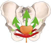 Bild zu während der Behandlung mit dem Pelvi Chair in Deinem No.1 Sun & Beauty Sonnenstudio