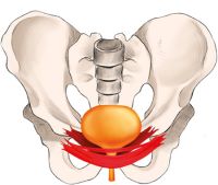 Bild zu nach der Behandlung mit dem PowerSeat in Deinem No.1 Sun & Beauty Sonnenstudio