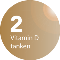 SunLight No. 1 Sun & Beauty Solarium und Sonnenstudio - Vitamin D tanken