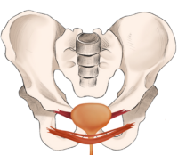 Bild zu vor der Behandlung mit dem PowerSeat in Deinem No.1 Sun & Beauty Sonnenstudio