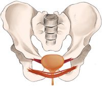 Bild zu vor der Behandlung mit dem Pelvi Chair in Deinem No.1 Sun & Beauty Sonnenstudio